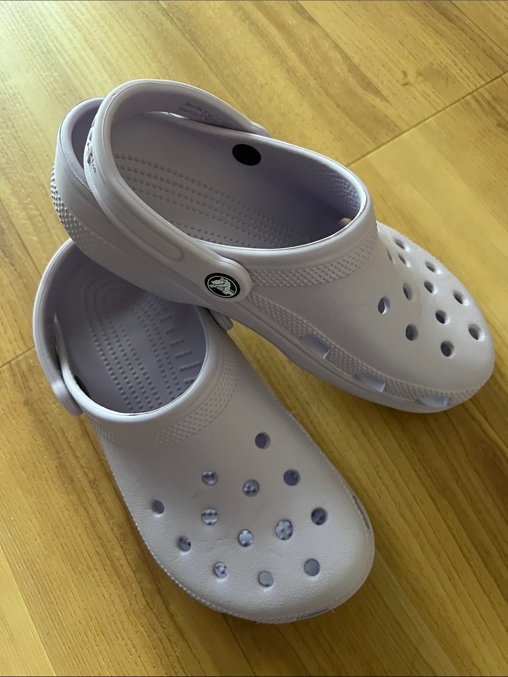 Crocs Classic Style Clogs